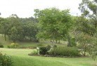 Neusa Valeresidential-landscaping-40.jpg; ?>